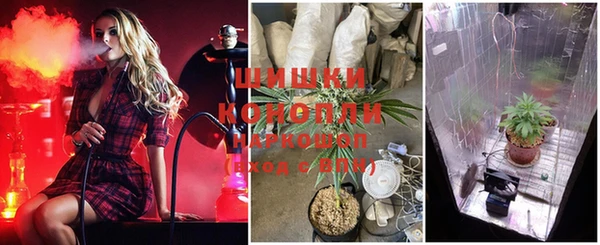 каннабис Аркадак