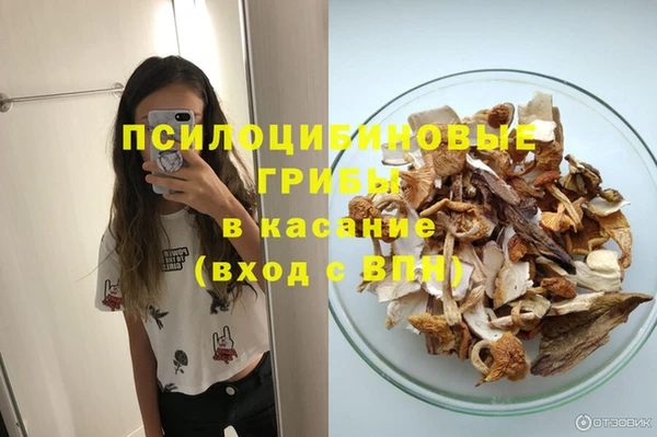 ГАЛЛЮЦИНОГЕННЫЕ ГРИБЫ Арсеньев