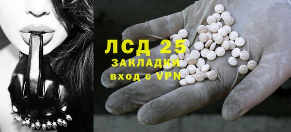 ГАЛЛЮЦИНОГЕННЫЕ ГРИБЫ Арсеньев