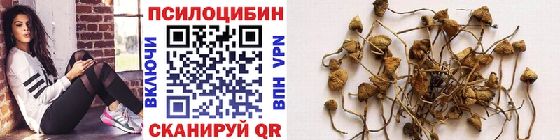 Галлюциногенные грибы прущие грибы  Купить где  Новомосковск 